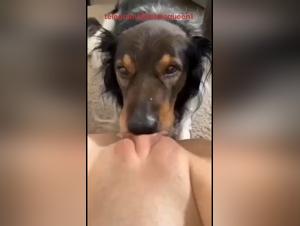 Artzoo: Where K9Girls Unleash Their Passions