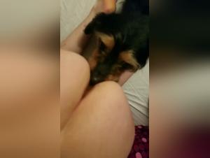 Zoophilie Brutale: Chien contre Femme