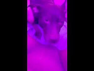 Lick: A beastly and intense encounter