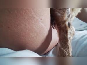 Zoophile: féminine et amoureux des animaux - bestialeitéporno