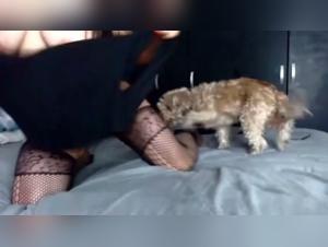 Animal Fantasies: Milly challenges the limits in Part 3