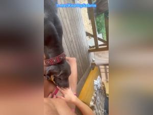 Kutyanyal Under a Hot Dog's Tongue - Part 4