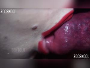 Indecent zoophilia: Yasmin Red under the control of a wild dog
