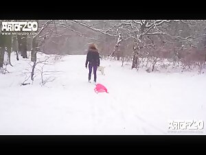 Meraviglia invernale - AOZ