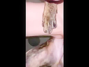 Naughty encounter with a dog