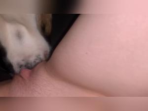 Dominant Dog: Fierce and Filthy Sodomy