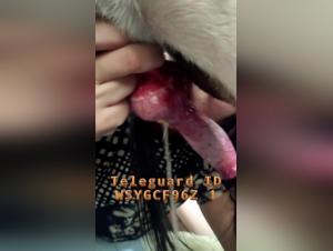 Sirila Teaser: The Forbidden Obsession