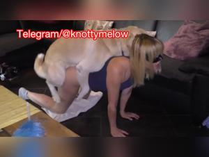 Crazy Mellow surrenders to Zoodog's canine pleasure