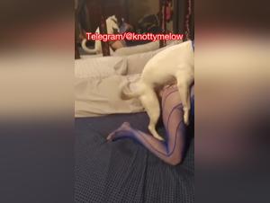 Entfesselter Sex-Hund auf einer hilflosen Versklavten