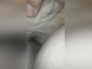 Brutal zoophilia: dog in full domination