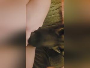 Canine-Benchman, Katzenkraft des Teenagers