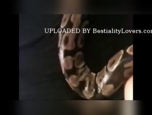 Bestial rampage: Milly and her Canine Passion