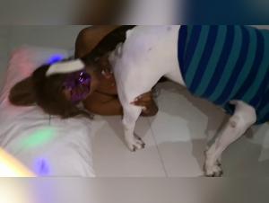 Sesso e animali: la malattia sessuale del cane rivoluziona l'erotismo