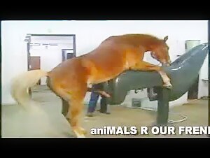 Wilder Ausritt mit einem Pferd