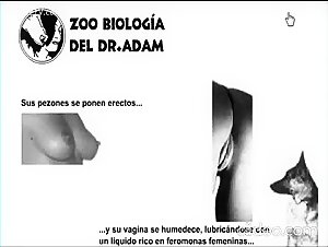 Entrenamiento de bestialidad: aprende tecnicas sexuales con perros