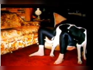 Dog Joins Intimate Webcam: Mother and Daughter Reveal Their Desires