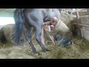 Horse and Human: An Intimate Encounter