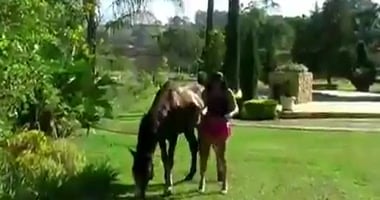 Whipped horse: His domination over the slut