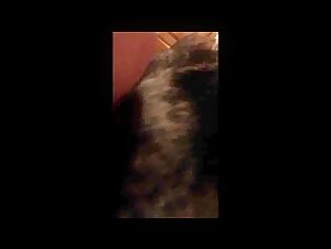 Donna sottomessa sposata con un cane