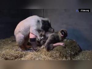 Hardcore-Tierbetrug: Yasmin und ihr dunkles Verlangen