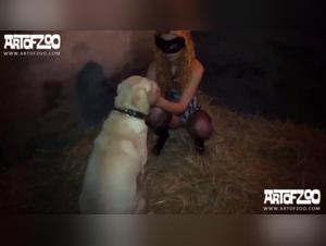 Obscene Delights: Dog Fetish on Video