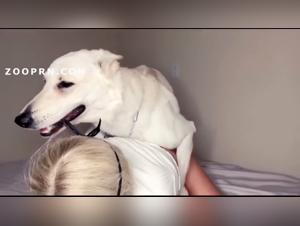 Zoophilia Unleashed: A Dog Devours Vulgarity