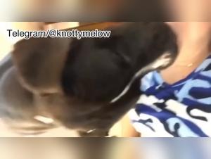 Puppy Playtime with an Amateur Babe, Raw and Uncut