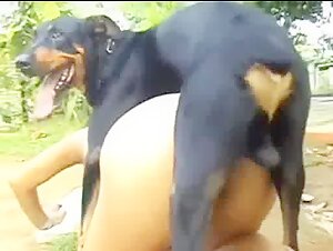 Horny - A bestial and exciting encounter