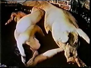 Unworthy Zoophilia: Canine Ferocity Unleashed