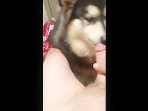 Dog and woman: a beastly encounter