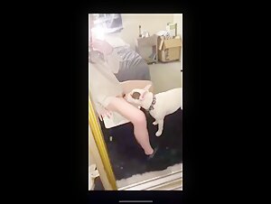 Woman and dog: a forbidden meeting