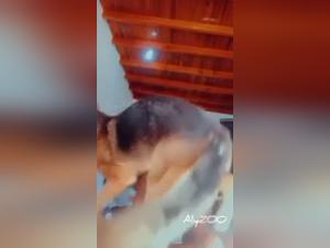 Raw zoophilia: The dog dominates Latyzoo