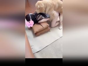 Baise Interdite:  Quand la Salope Embrasse son Chien