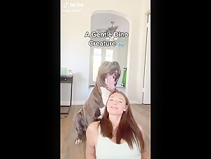 Zoo Dog: A Story of Exciting Bestiality
