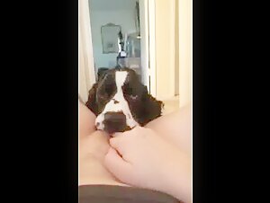 Good Licking 1: Intimate Moment With Man's Best Friend