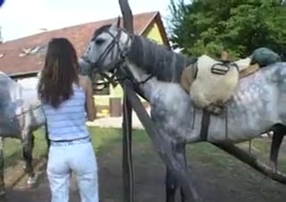 Angelic Horse Lover : Cheval fougueux défonce la putine