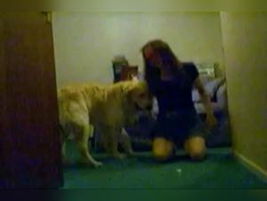 Shy Lark : Dévoilements Incandescents d'une Obsession Canine