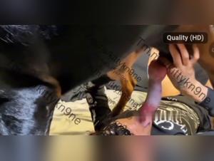 Kittykn9ne : Punition féline par une bite assoiffée