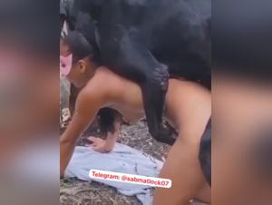 Sesso selvaggio con cane: collegamenti e dominio