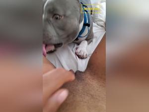 Canine Fuck: Cute lets herself be subjugated