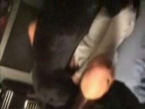 Zoofilia Webcam: Raw passion and taboos revealed