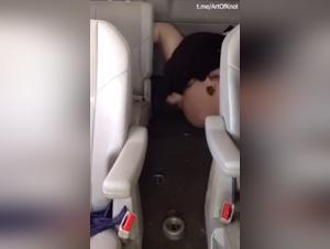 Canine missionary action on the passenger seat, things get hot!