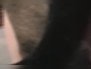 L'inceste canin : jouissance sans limites