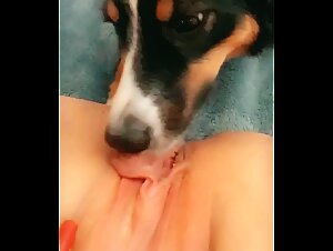 Mature woman prefers bestial lovemaking with her dog