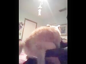 Woman and Dog: A Sensual Encounter