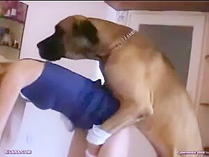 Queen of Bestiality