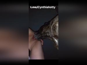 Canine Domination: Obsessive Licking