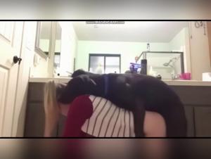 Bestial Delights: Eine sinnliche Reise mit Mike Candys