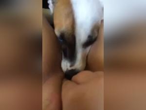 Fétichisme Animal Extremo : La Débauche Débridée