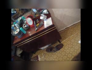 Obscenity Incarnate: The Delight of Young and Brutal Bestiality